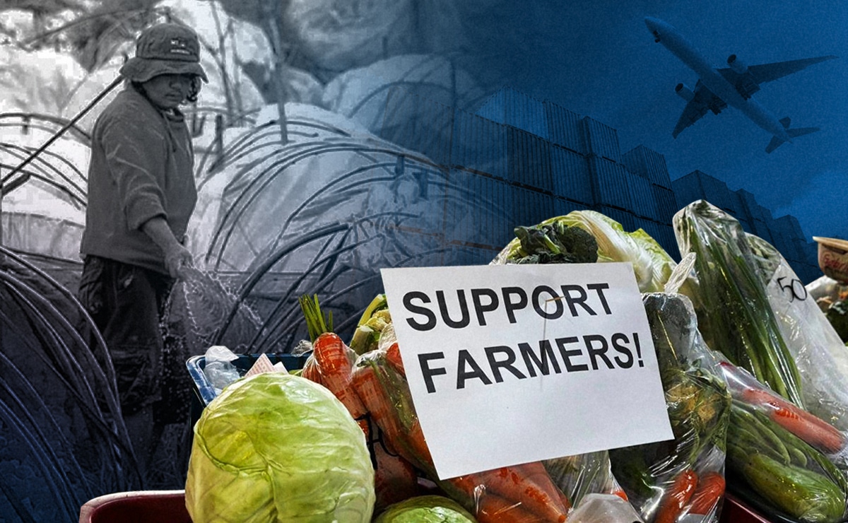 Benguet growers slam DA’s carrot import plan
