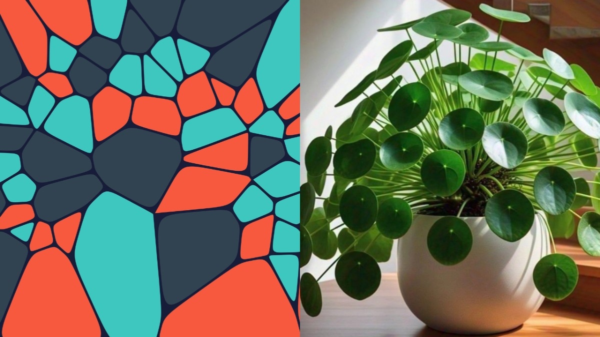 This common houseplant is hiding complex maths secret we never knew