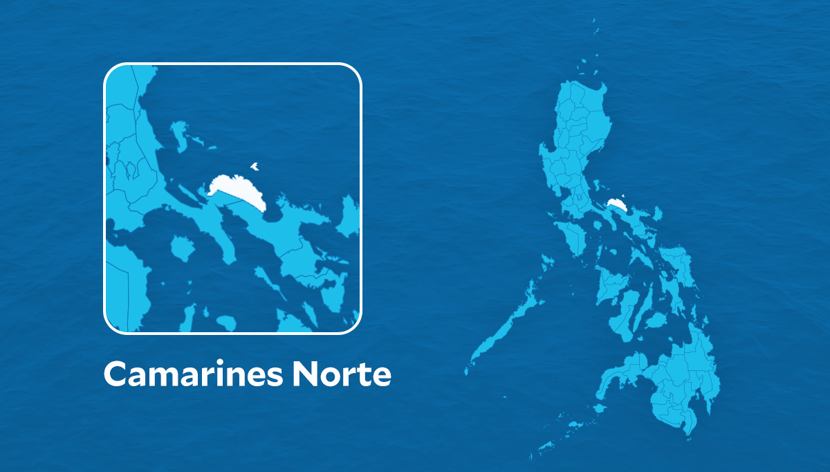 2 nabbed, P569,000 smuggled cigarettes seized in Camarines Norte