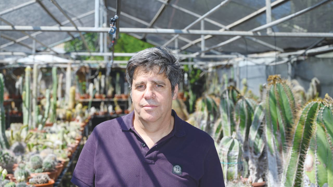 Climate change is stripping nutrients from food, global study with Israeli expert warns