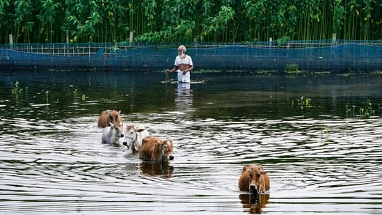 Why does Assam flood every year? It's not just the rain, expert says