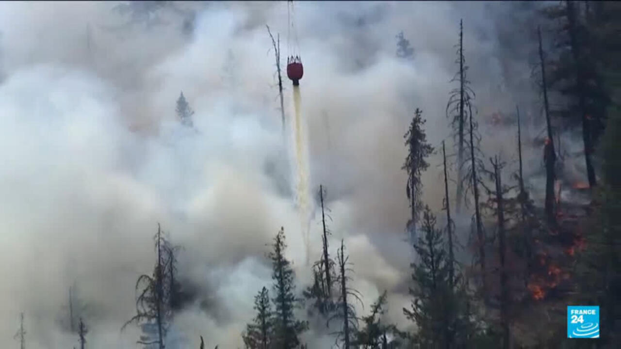 Donald Trump blames Canada for smoke pollution