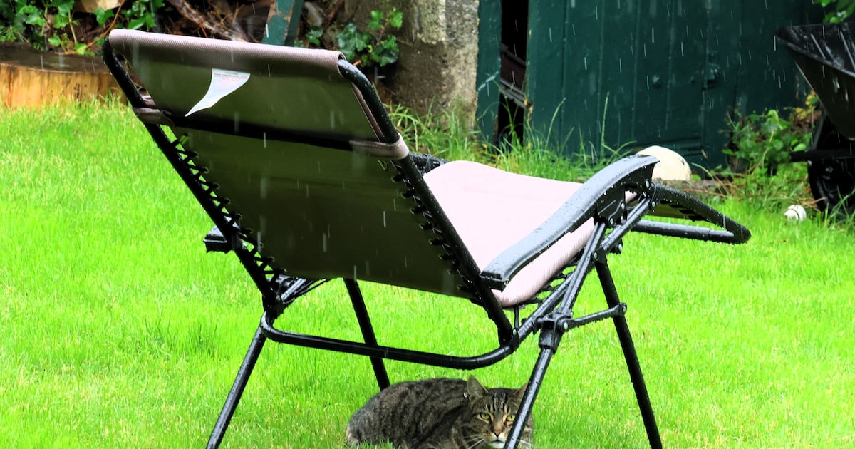 Met Éireann forecasts sunny weekend weather with temperatures set to reach 26 degrees
