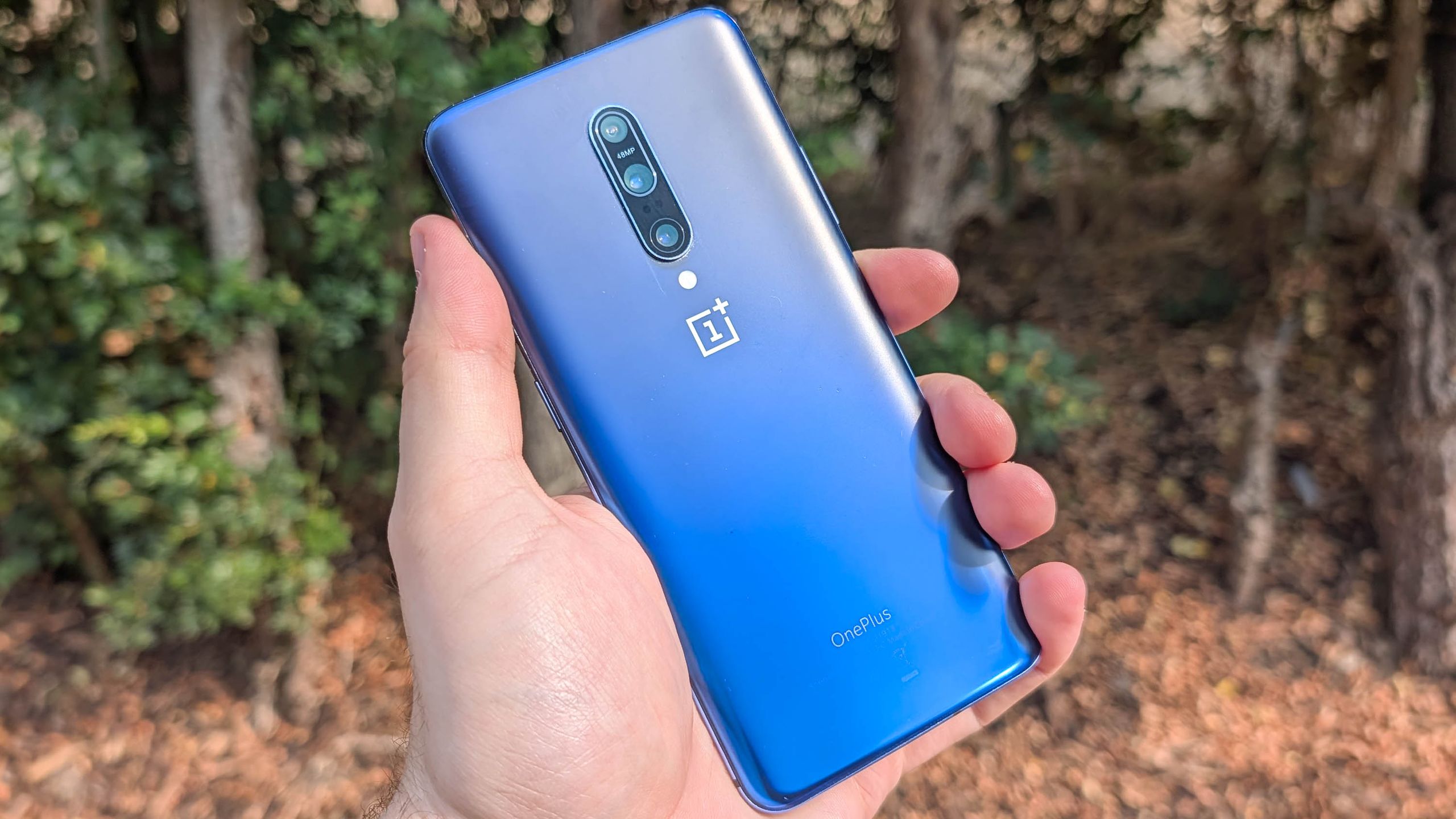 OnePlus may be disappearing, but I still remember the company at its best — this phone was peak OnePlus