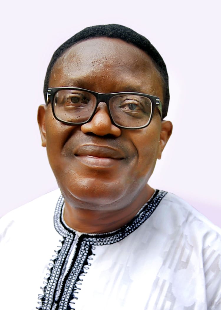 Jimoh Ibrahim is uninformed: UN intervenes in nation’s internal affairs, By Owei Lakemfa