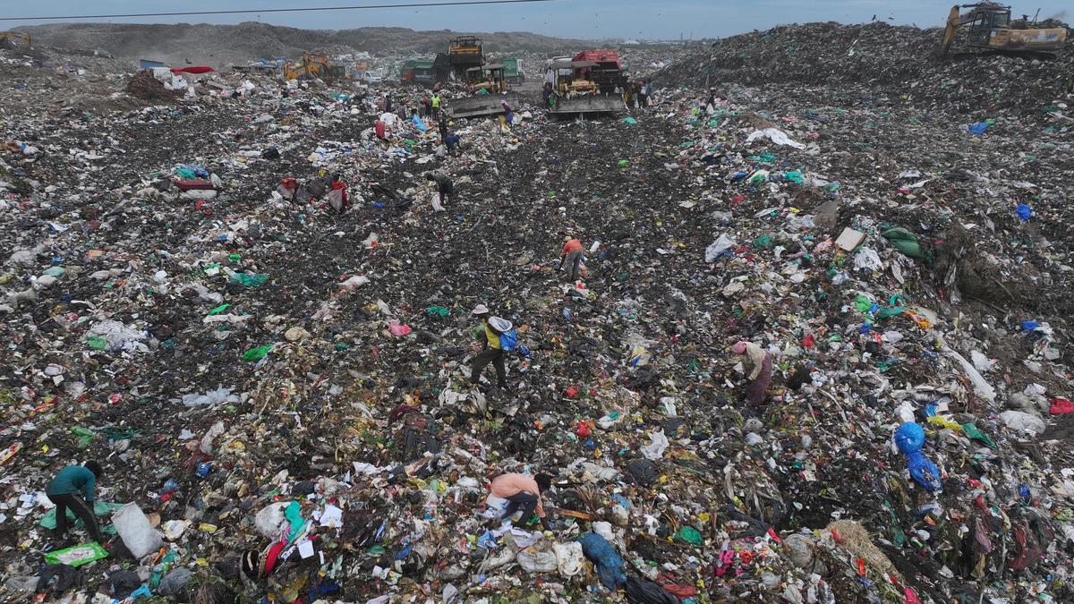 New tool to help cities quantify greenhouse gas emissions from food waste