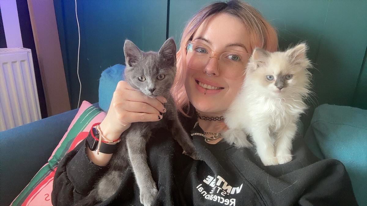 Pregnant mother-of-two is blinded and her cat killed when her pets are 'poisoned by heroin' - as police arrest woman, 32