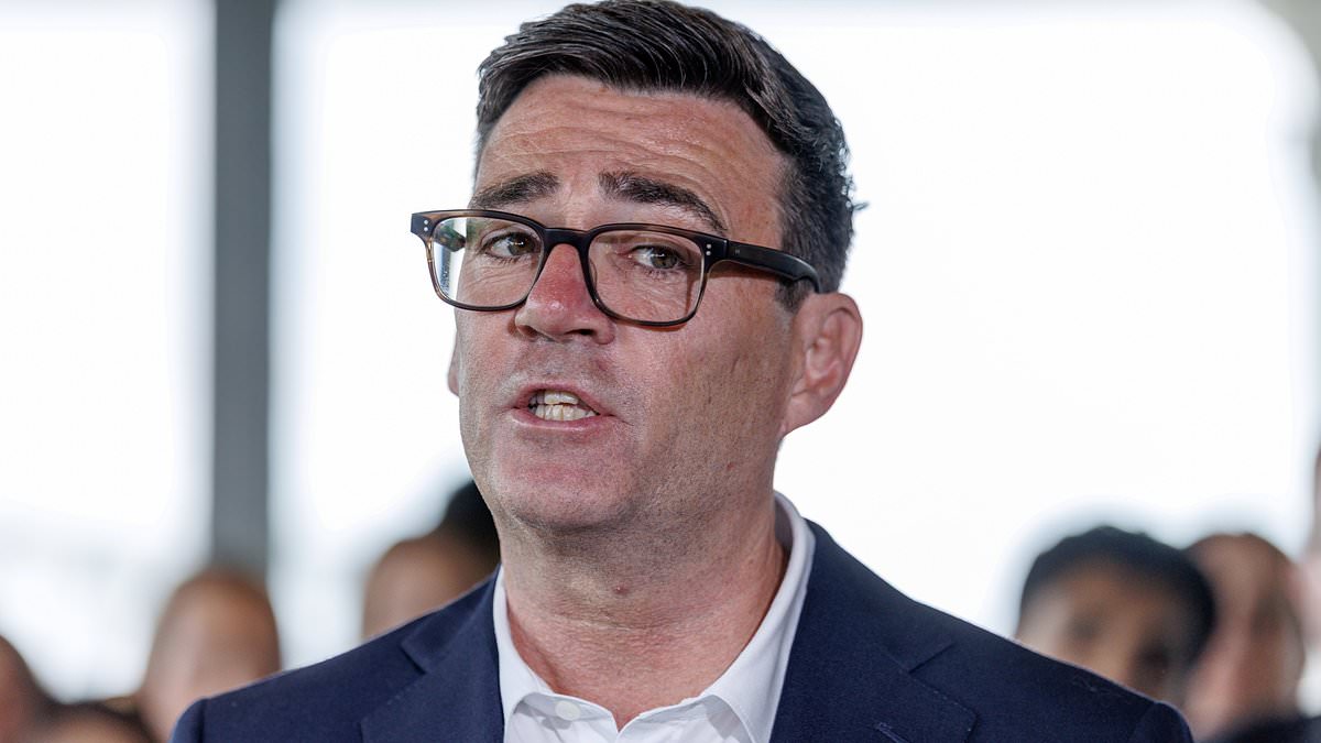 Andy Burnham to scrap Starmer's digital ID scheme as he 'resets priorities'