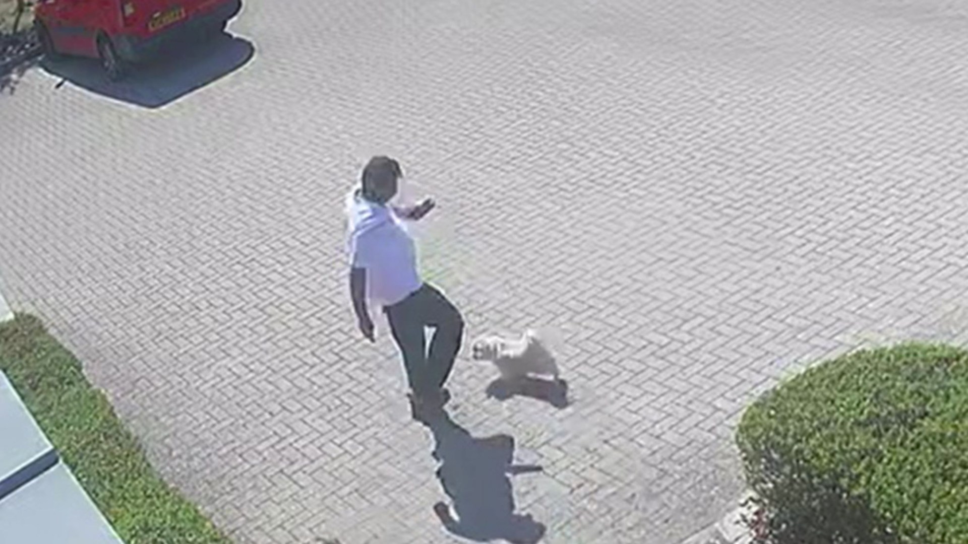 Evil postman’s shocking dog kick shows why Ring doorbells are vital – EVERY home in Britain should have one