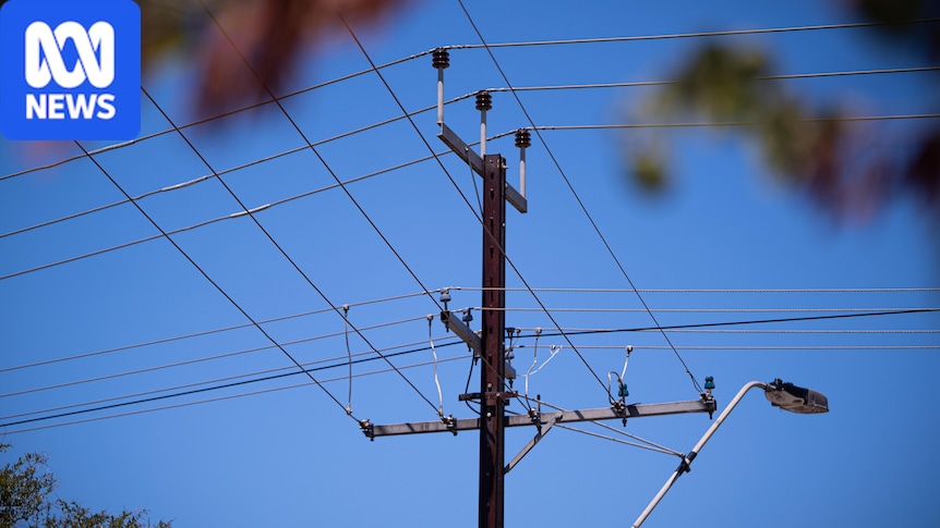 New energy scheme adding to bills, SA government admits