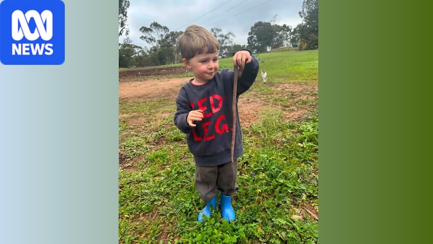 'Almost certainly new' species of giant earthworms found in SA