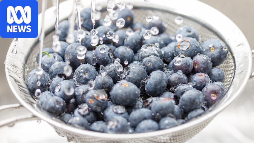Why regulators say a '500 fold' increase in pesticide residue is safe