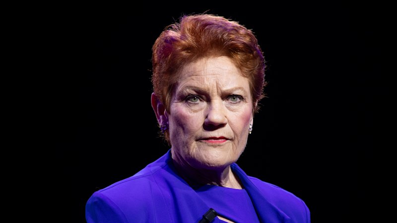 ‘Do not apologise for being white’: Hanson takes aim at privilege and trans rights