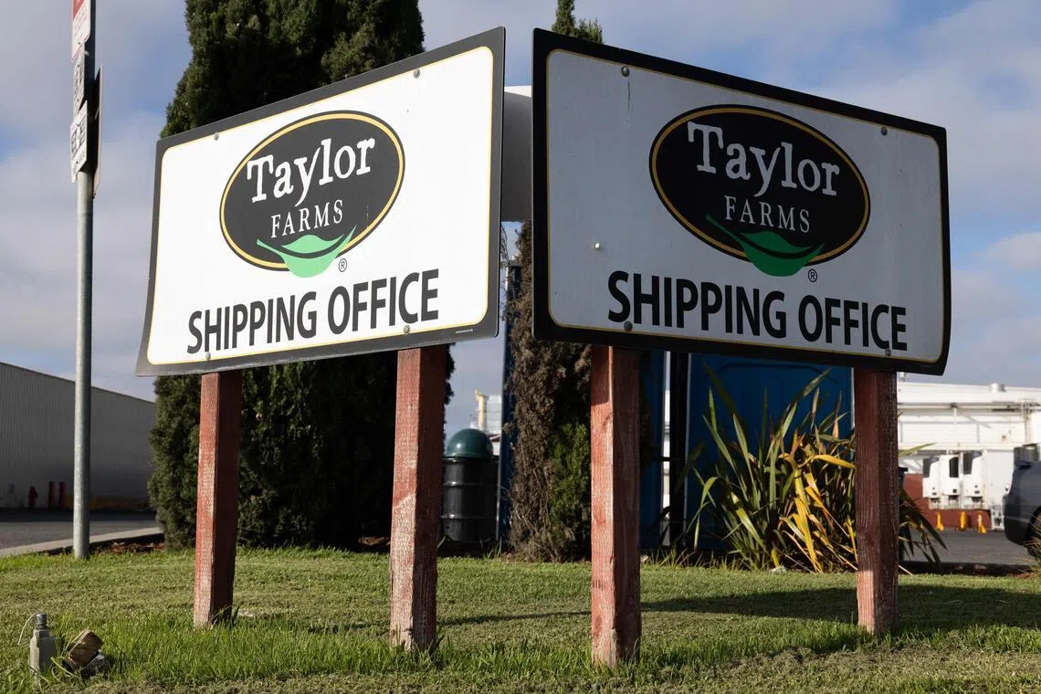 Sample of iceberg lettuce supplied by Taylor Farms tested positive for US parasite outbreak