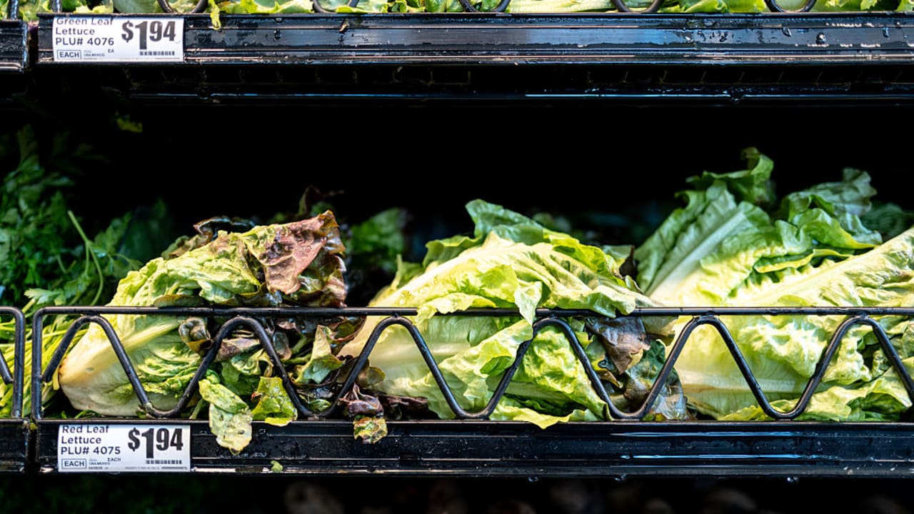 US FDA confirms Taylor Farms lettuce sample linked to parasitic illness affecting thousands