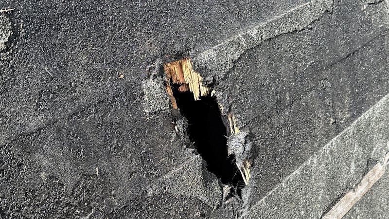 ‘Very special’: Meteorite that crashed into couple’s home gives up its secrets