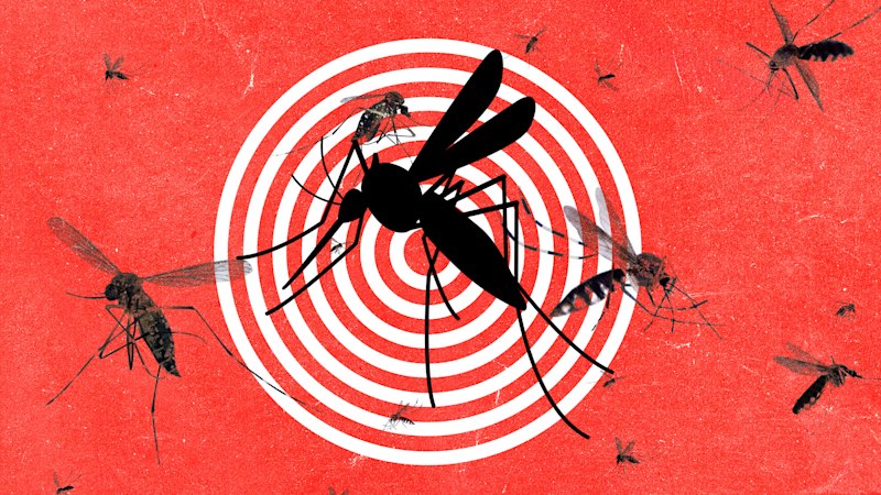 The device detecting the world’s deadliest creature