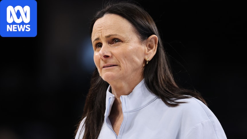 Brondello suspended by WNBA for inappropriate comment
