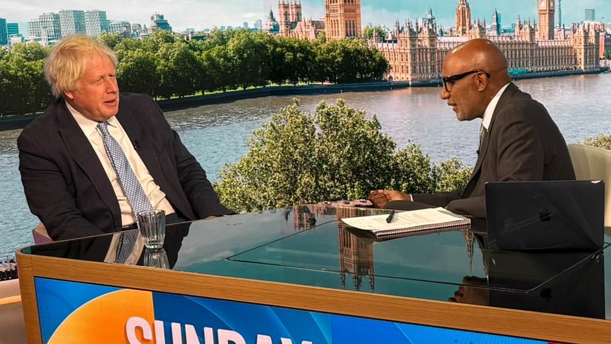 Boris Johnson says increasing MP security in wake of Widdecombe murder is 'expensive and pointless' - as it is revealed MI5 gave politicians advice on home safe rooms
