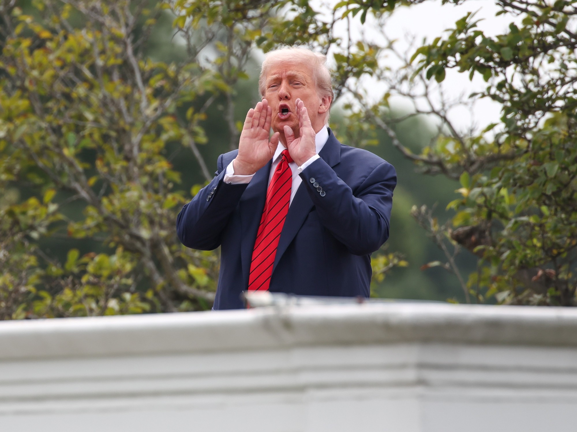 Por orden de Trump: la Casa Blanca plantará 47 árboles en un jardín para autohomenajear a su presidencia