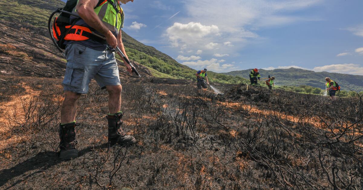 Key Killarney National Park tourist route shut amid fight to contain wildfires