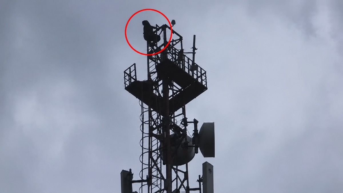 Woman climbs 50-ft mobile tower to protest encroachment drive in Madhya Pradesh