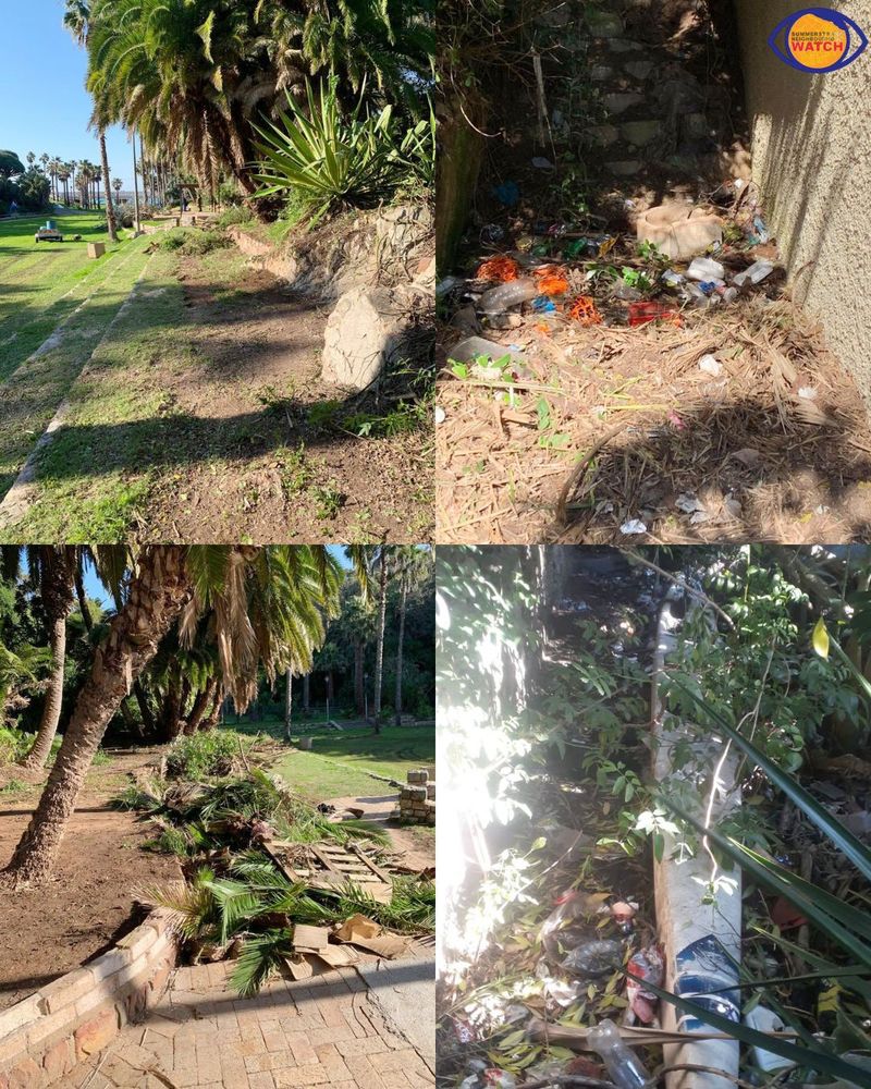 HAPPY VALLEY: Residents reclaim iconic Gqeberha beachfront park after years of neglect