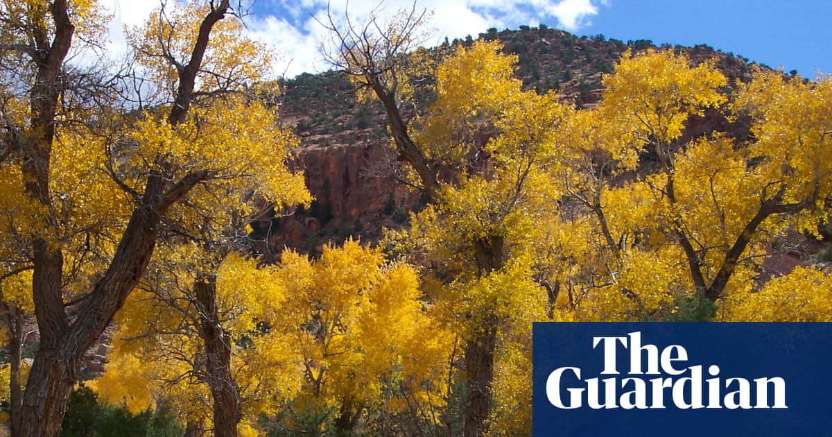 Five family members found dead after flash flood in Utah canyon, police say