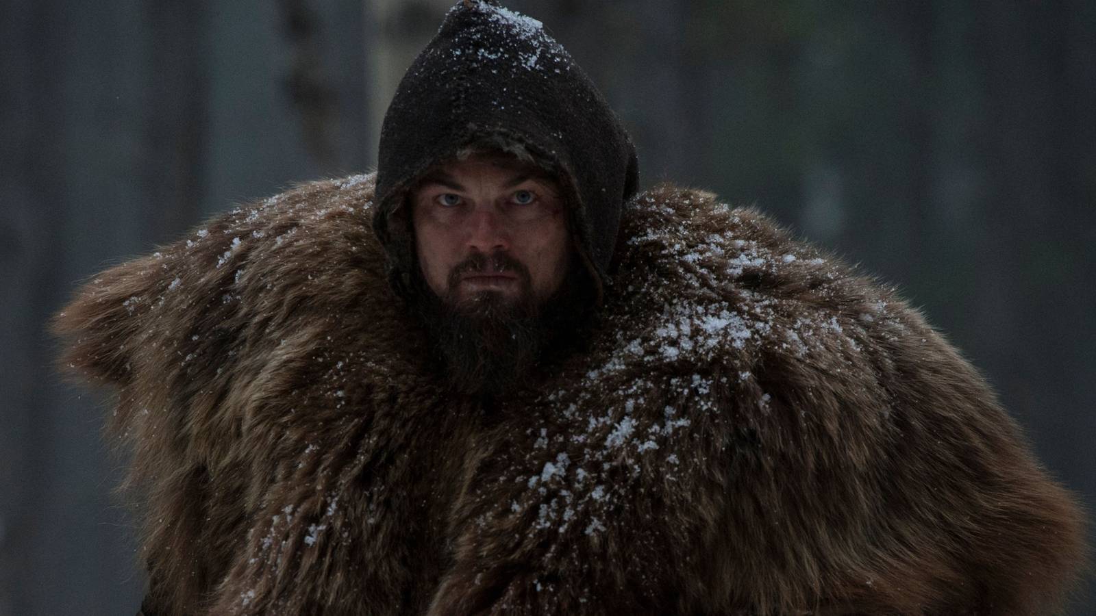 Stephen King's Upcoming Survival Horror Is The Revenant Meets Blair Witch