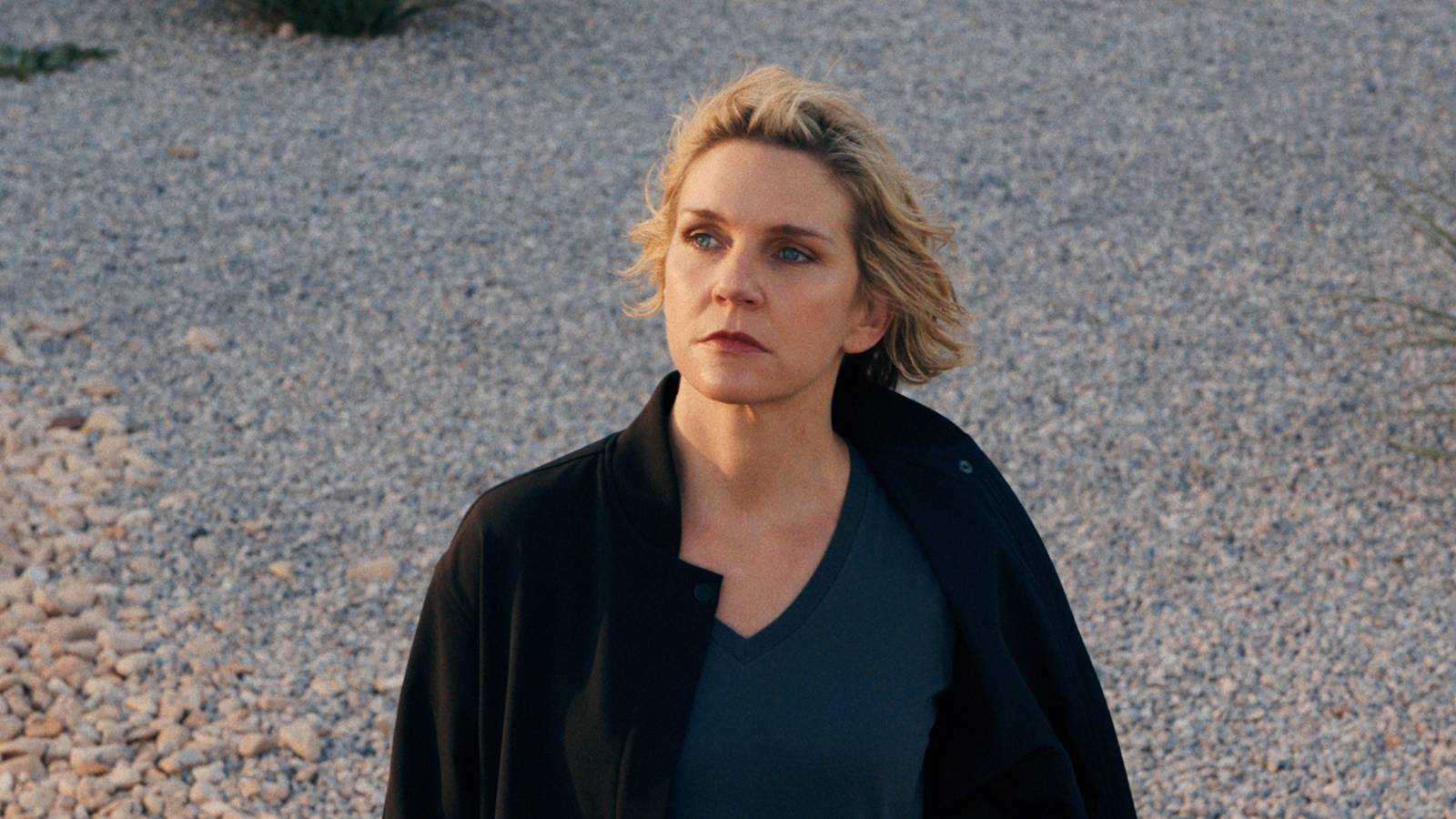 10 Perfect Apple TV Shows With 5 Seasons or Less
