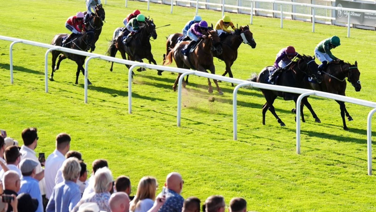 Bay Bridge's full brother set for first start at Windsor