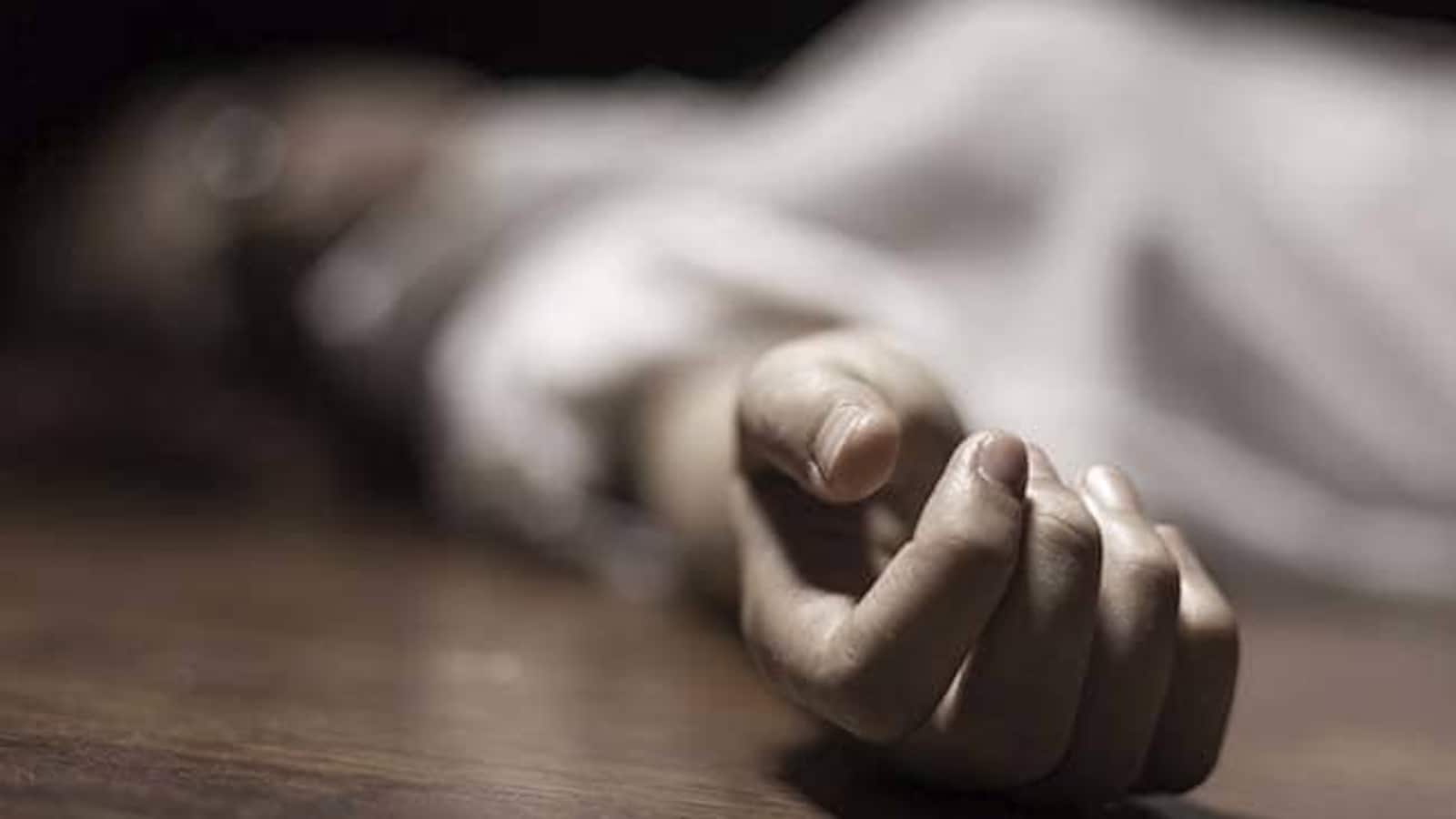 Drunk Man Strangles Wife To Death After Fight Over Dinner In Gurugram: Police