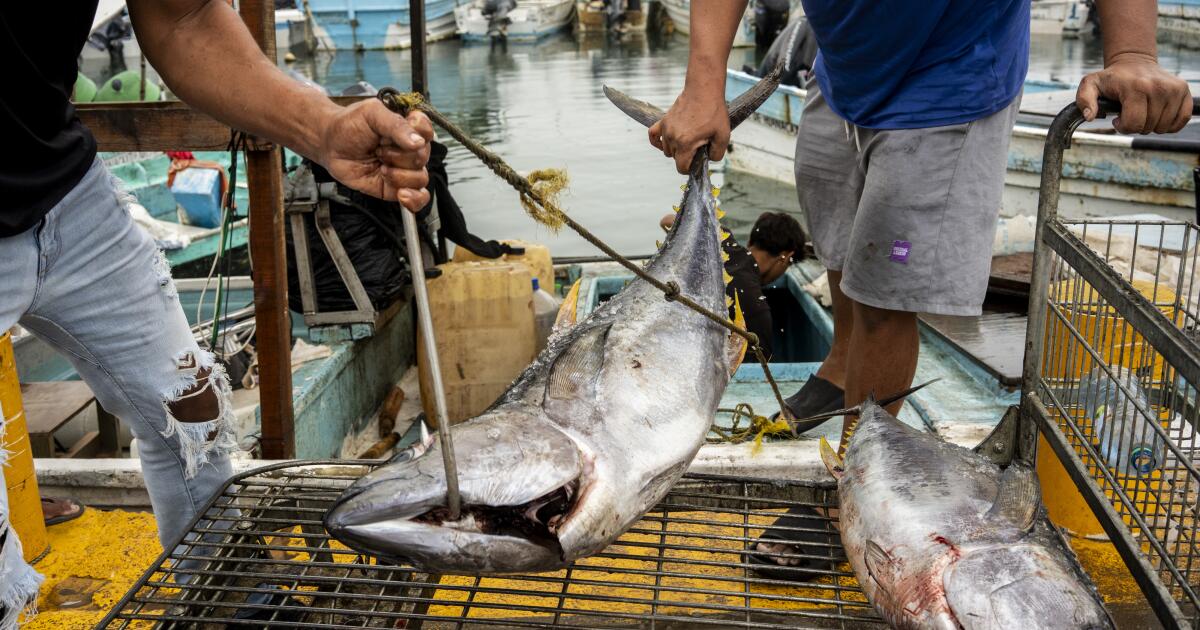 U.S. airstrikes at sea are killing Mexican citizens