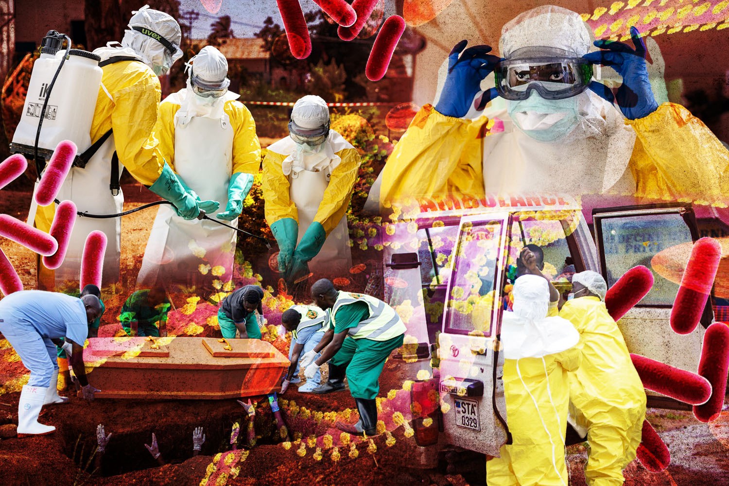Ebola outbreak spreading from DEAD bodies – as death toll hits grim 800 and cases surge 70% in a fortnight