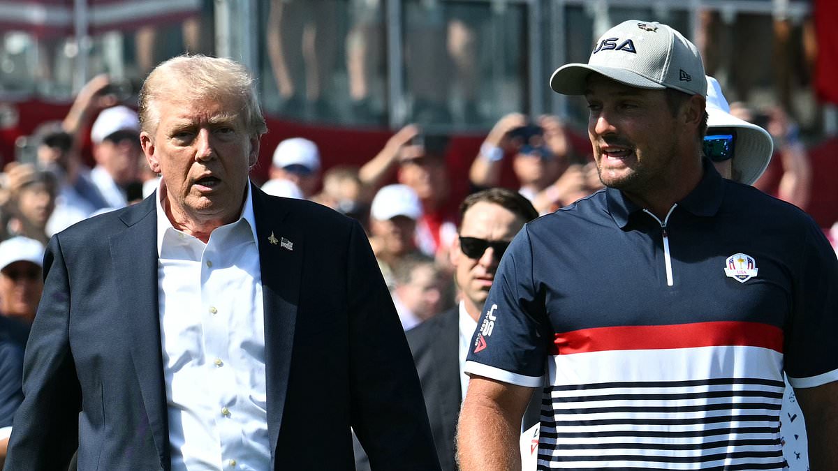 Revealed: Stroppy Bryson DeChambeau 'asked for Donald Trump to intervene' during his meltdown at The Open
