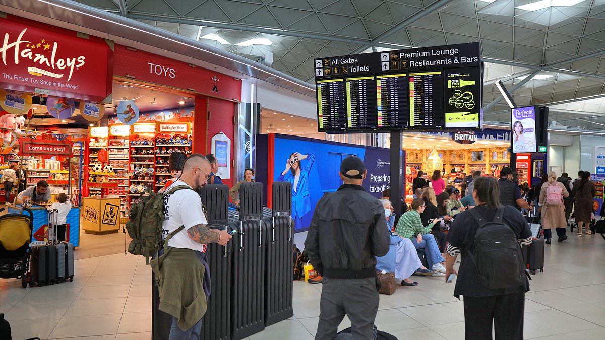 'It's madness': Four-hour airport advice sparks backlash as EU border chaos grows