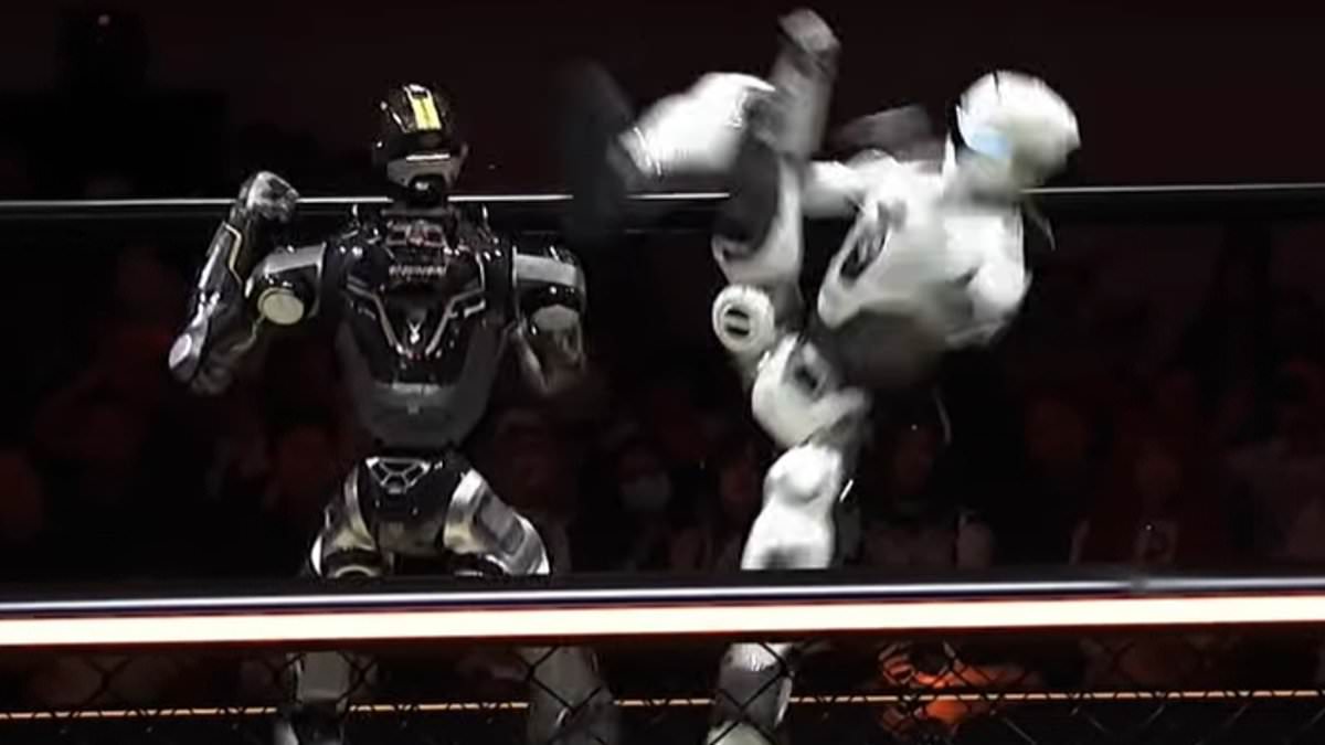 MMAI! Watch the moment a robot is DECAPITATED during a brutal humanoid cage fight - yet keeps fighting