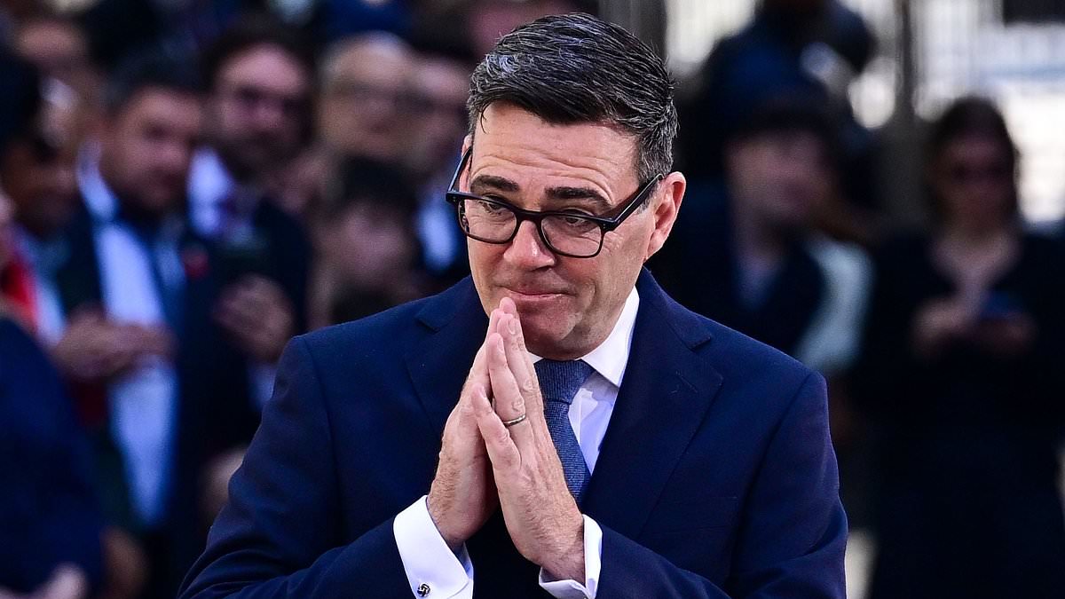 EU leaders line up to congratulate 'dear Andy' Burnham after he vows to continue to move Brexit Britain back towards Brussels