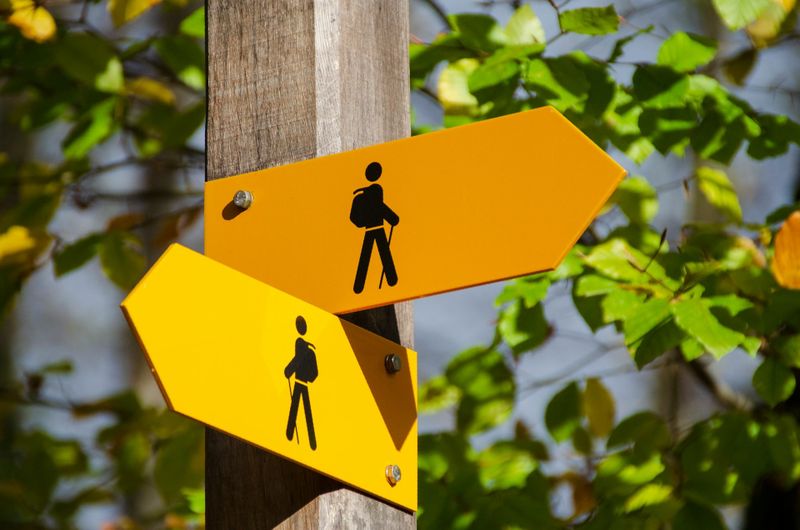 THE CONVERSATION: Making a big, life‑changing decision? Here are seven steps to consider