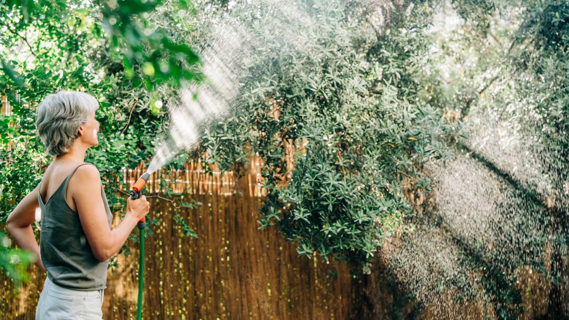 Hosepipe ban loopholes mean people can still water trees or fill up a pond – as FOUR new regions hit by restrictions