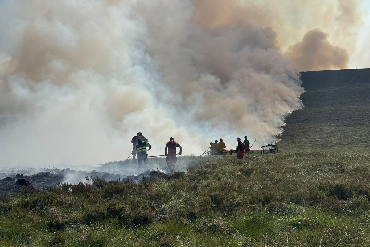 Wildfire response to continue in coming days amid encouraging progress – police